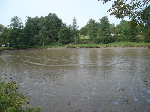 Výlov návesního rybníka 2007